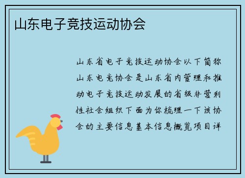山东电子竞技运动协会